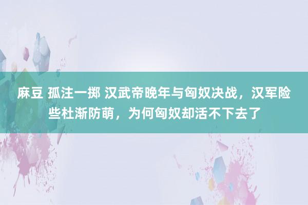 麻豆 孤注一掷 汉武帝晚年与匈奴决战，汉军险些杜渐防萌，为何匈奴却活不下去了