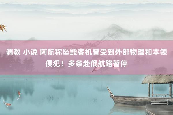 调教 小说 阿航称坠毁客机曾受到外部物理和本领侵犯！多条赴俄航路暂停
