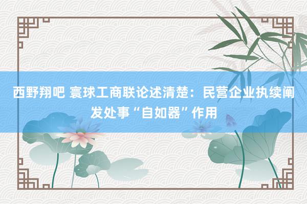 西野翔吧 寰球工商联论述清楚：民营企业执续阐发处事“自如器”作用