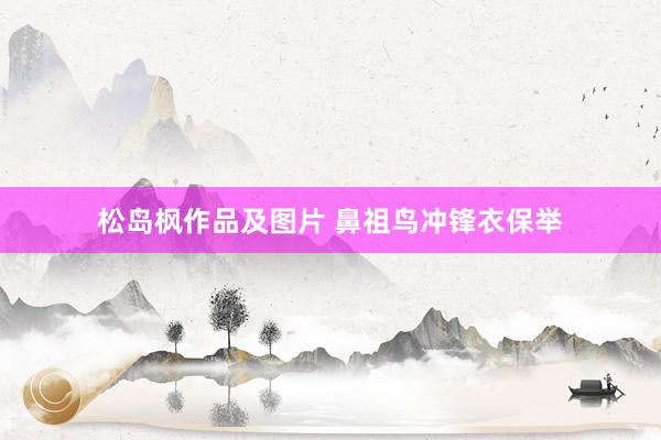 松岛枫作品及图片 鼻祖鸟冲锋衣保举