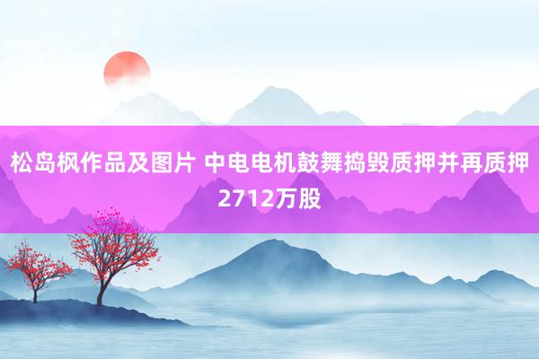 松岛枫作品及图片 中电电机鼓舞捣毁质押并再质押2712万股