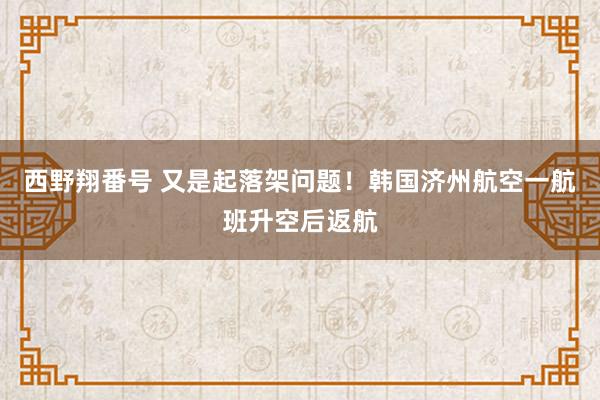 西野翔番号 又是起落架问题！韩国济州航空一航班升空后返航