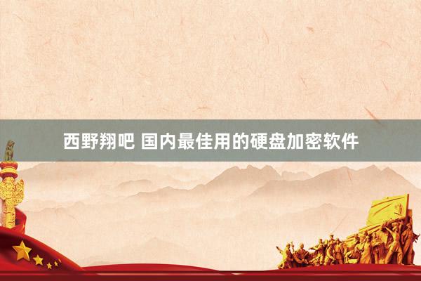 西野翔吧 国内最佳用的硬盘加密软件
