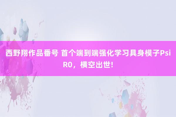 西野翔作品番号 首个端到端强化学习具身模子PsiR0，横空出世!