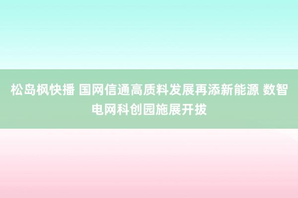 松岛枫快播 国网信通高质料发展再添新能源 数智电网科创园施展开拔