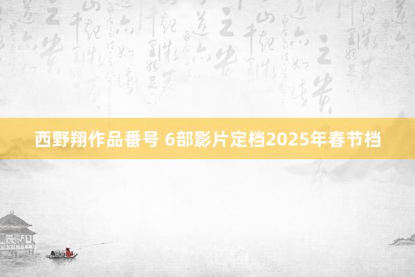 西野翔作品番号 6部影片定档2025年春节档