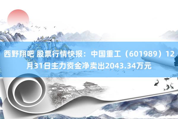 西野翔吧 股票行情快报：中国重工（601989）12月31日主力资金净卖出2043.34万元