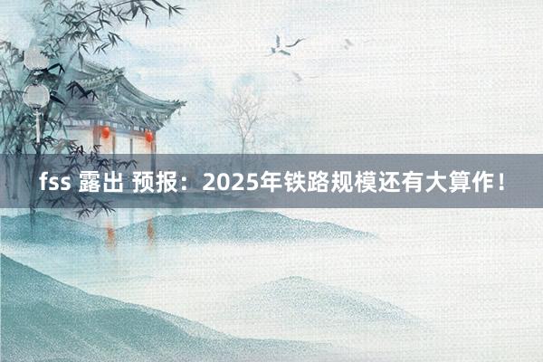 fss 露出 预报：2025年铁路规模还有大算作！