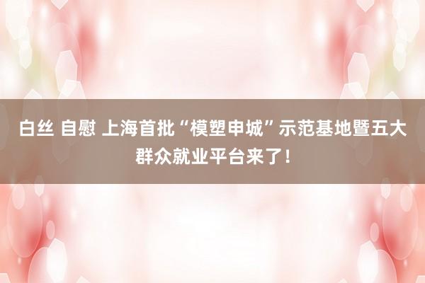 白丝 自慰 上海首批“模塑申城”示范基地暨五大群众就业平台来了！