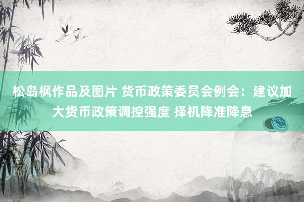 松岛枫作品及图片 货币政策委员会例会：建议加大货币政策调控强度 择机降准降息