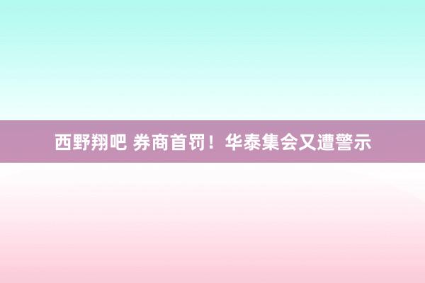 西野翔吧 券商首罚！华泰集会又遭警示