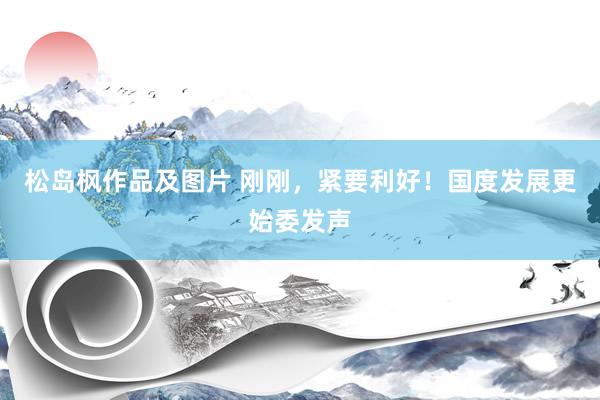 松岛枫作品及图片 刚刚，紧要利好！国度发展更始委发声