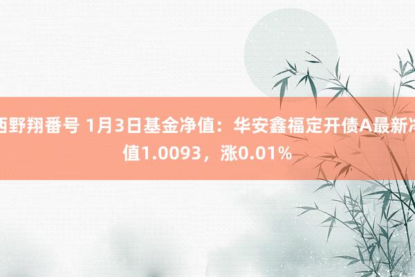 西野翔番号 1月3日基金净值：华安鑫福定开债A最新净值1.0093，涨0.01%