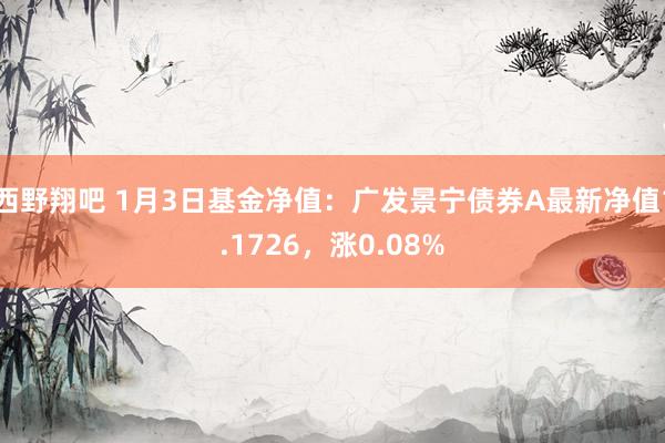 西野翔吧 1月3日基金净值：广发景宁债券A最新净值1.1726，涨0.08%
