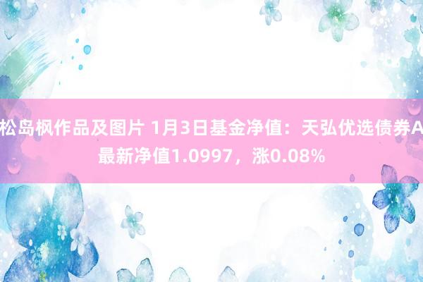 松岛枫作品及图片 1月3日基金净值：天弘优选债券A最新净值1.0997，涨0.08%