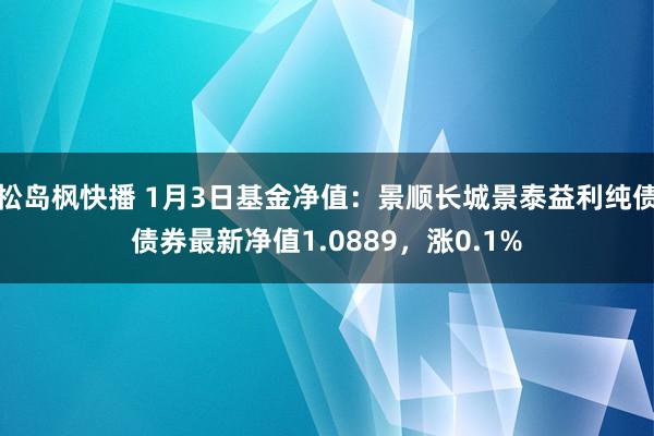松岛枫快播 1月3日基金净值：景顺长城景泰益利纯债债券最新净值1.0889，涨0.1%
