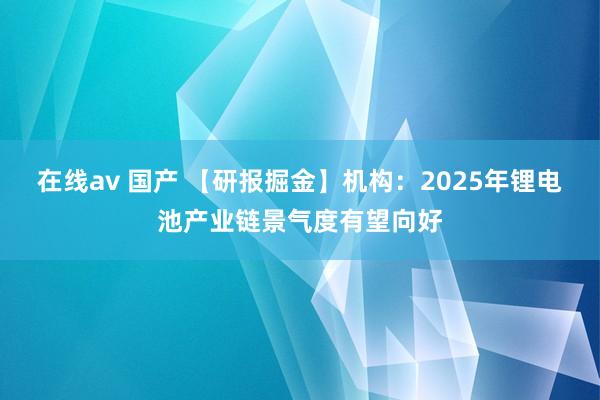 在线av 国产 【研报掘金】机构：2025年锂电池产业链景气度有望向好