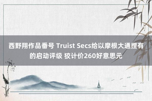 西野翔作品番号 Truist Secs给以摩根大通捏有的启动评级 狡计价260好意思元