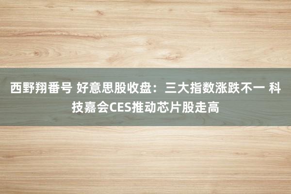 西野翔番号 好意思股收盘：三大指数涨跌不一 科技嘉会CES推动芯片股走高