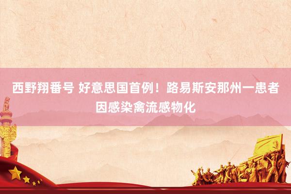西野翔番号 好意思国首例！路易斯安那州一患者因感染禽流感物化