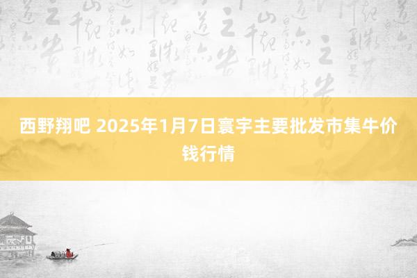 西野翔吧 2025年1月7日寰宇主要批发市集牛价钱行情