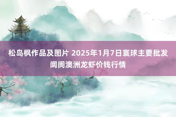 松岛枫作品及图片 2025年1月7日寰球主要批发阛阓澳洲龙虾价钱行情