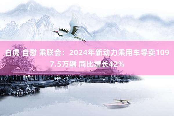 白虎 自慰 乘联会：2024年新动力乘用车零卖1097.5万辆 同比增长42%