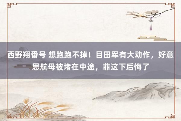 西野翔番号 想跑跑不掉！目田军有大动作，好意思航母被堵在中途，菲这下后悔了