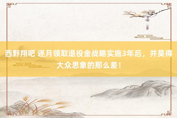 西野翔吧 逐月领取退役金战略实施3年后，并莫得大众思象的那么差！