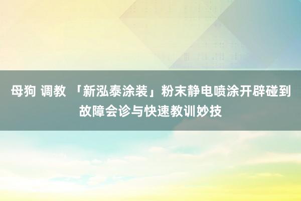 母狗 调教 「新泓泰涂装」粉末静电喷涂开辟碰到故障会诊与快速教训妙技