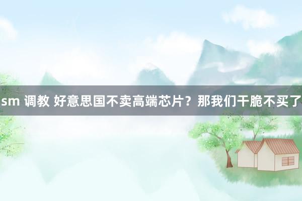 sm 调教 好意思国不卖高端芯片？那我们干脆不买了