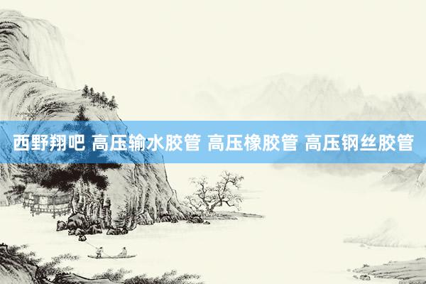 西野翔吧 高压输水胶管 高压橡胶管 高压钢丝胶管