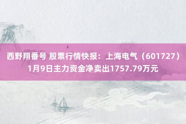西野翔番号 股票行情快报：上海电气（601727）1月9日主力资金净卖出1757.79万元