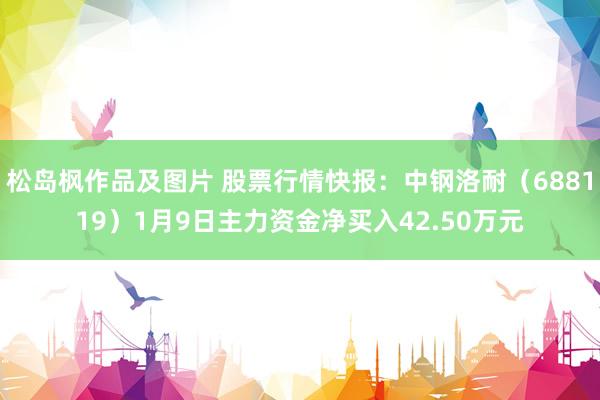 松岛枫作品及图片 股票行情快报：中钢洛耐（688119）1月9日主力资金净买入42.50万元
