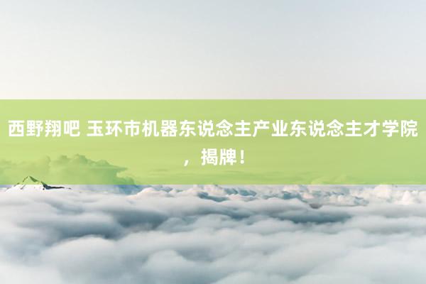 西野翔吧 玉环市机器东说念主产业东说念主才学院，揭牌！