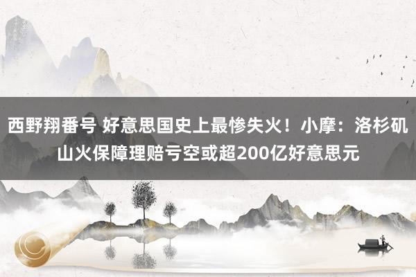西野翔番号 好意思国史上最惨失火！小摩：洛杉矶山火保障理赔亏空或超200亿好意思元