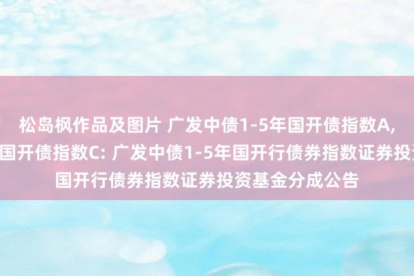 松岛枫作品及图片 广发中债1-5年国开债指数A,广发中债1-5年国开债指数C: 广发中债1-5年国开行债券指数证券投资基金分成公告