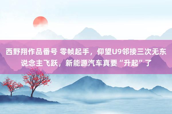 西野翔作品番号 零帧起手，仰望U9邻接三次无东说念主飞跃，新能源汽车真要“升起”了