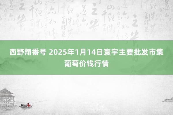 西野翔番号 2025年1月14日寰宇主要批发市集葡萄价钱行情