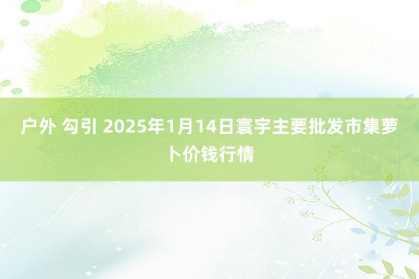 户外 勾引 2025年1月14日寰宇主要批发市集萝卜价钱行情