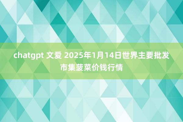 chatgpt 文爱 2025年1月14日世界主要批发市集菠菜价钱行情