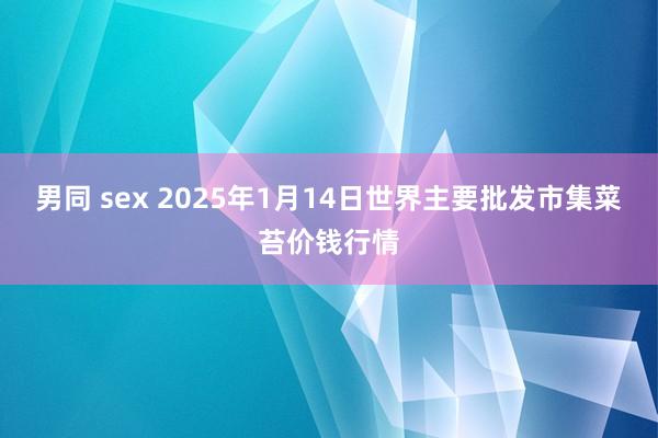 男同 sex 2025年1月14日世界主要批发市集菜苔价钱行情