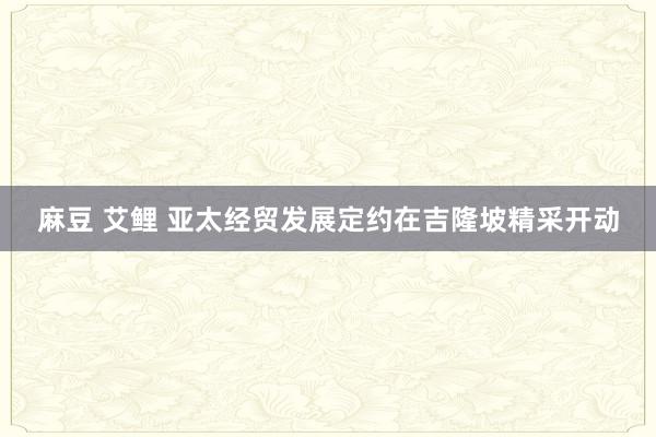 麻豆 艾鲤 亚太经贸发展定约在吉隆坡精采开动