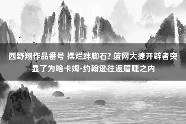 西野翔作品番号 摆烂绊脚石? 篮网大捷开辟者突显了为啥卡姆·约翰逊往返眉睫之内