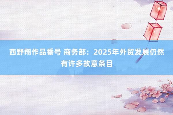 西野翔作品番号 商务部：2025年外贸发展仍然有许多故意条目
