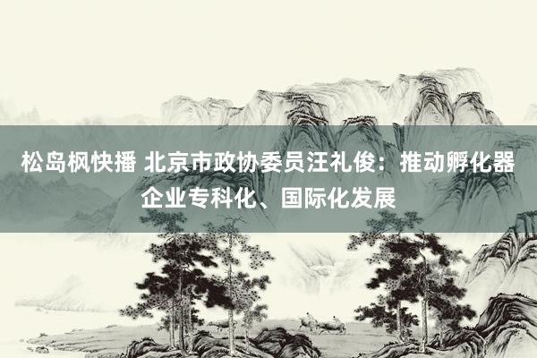 松岛枫快播 北京市政协委员汪礼俊：推动孵化器企业专科化、国际化发展