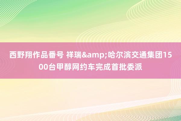 西野翔作品番号 祥瑞&哈尔滨交通集团1500台甲醇网约车完成首批委派
