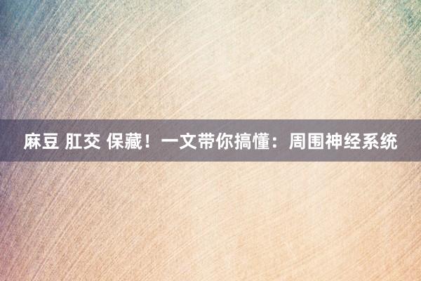 麻豆 肛交 保藏！一文带你搞懂：周围神经系统