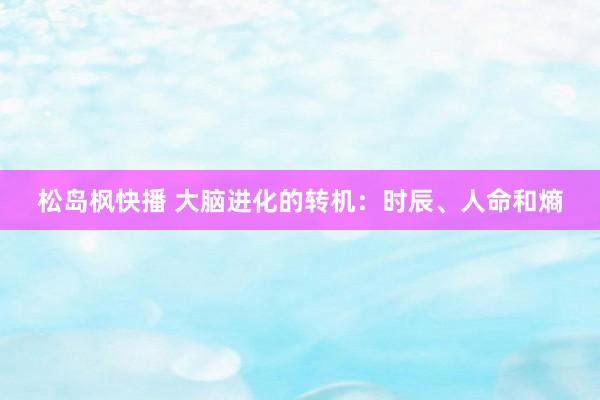 松岛枫快播 大脑进化的转机：时辰、人命和熵