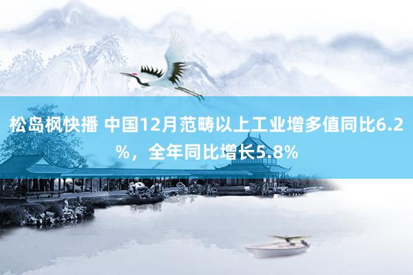 松岛枫快播 中国12月范畴以上工业增多值同比6.2%，全年同比增长5.8%